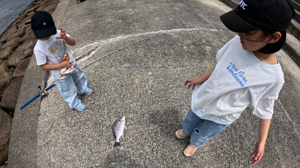 西宮浜総合公園　釣れた釣れた